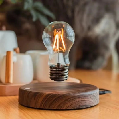 Magnetic Levitation Lamp With Creativity