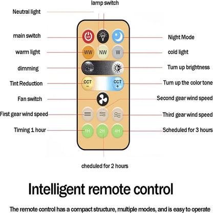 Smart 3In 1 Ceiling Fan with Remote Control