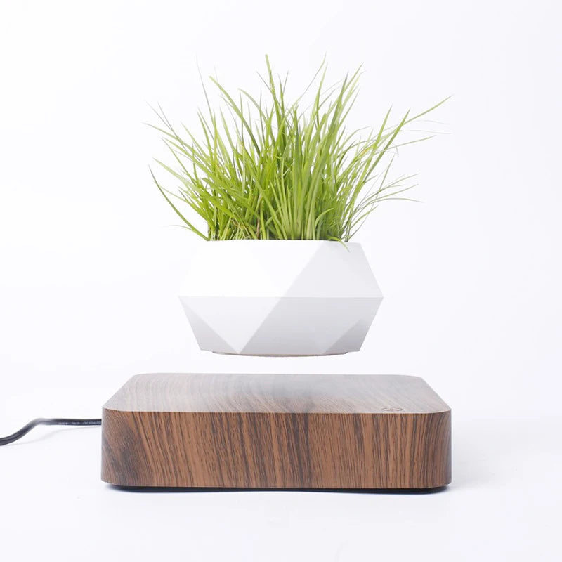 Levitating Air Bonsai Pot With Rotation