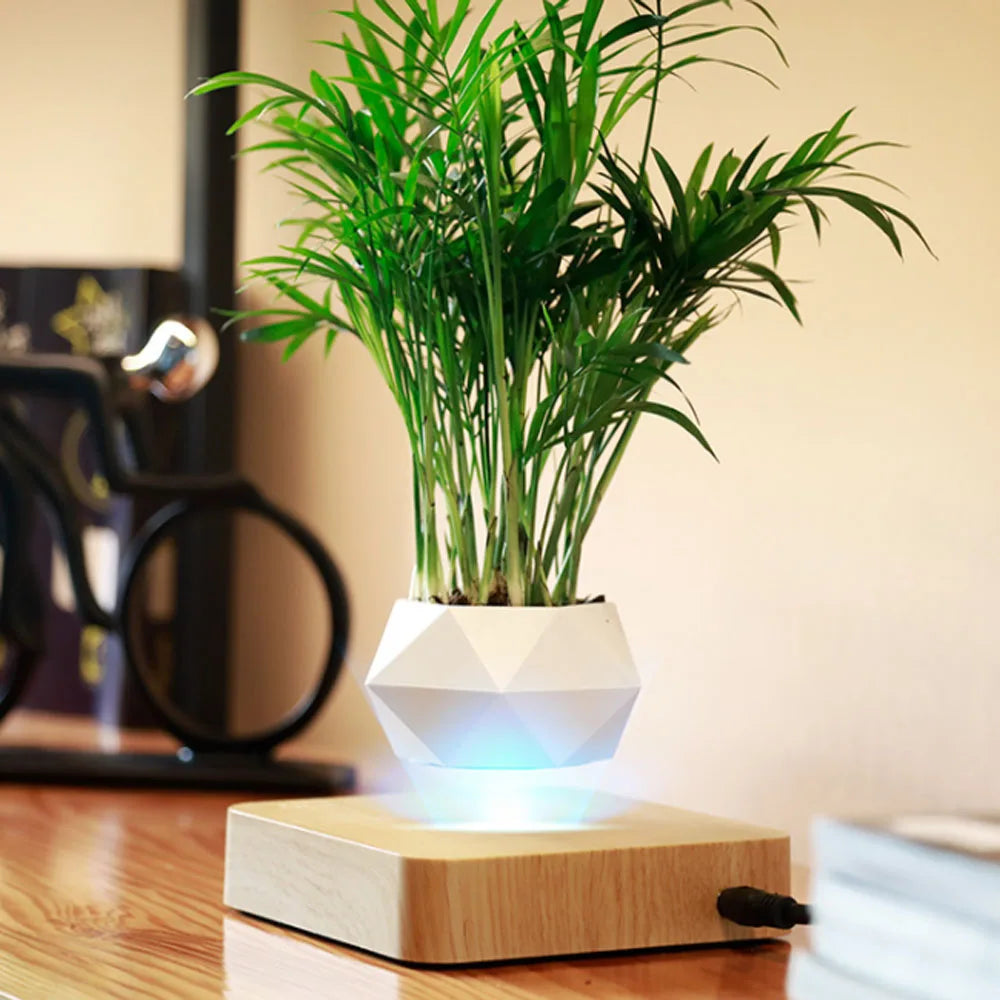 Levitating Air Bonsai Pot With Rotation