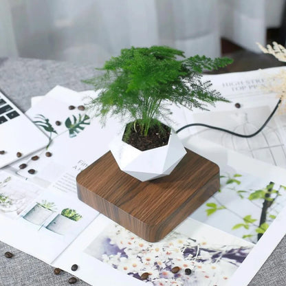 Levitating Air Bonsai Pot With Rotation