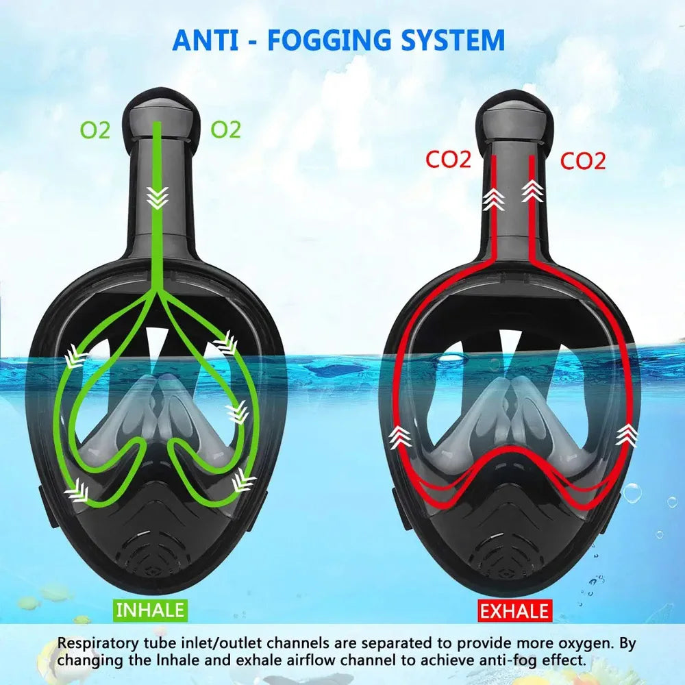 Snorkeling subacqueo Immersioni con viso intero