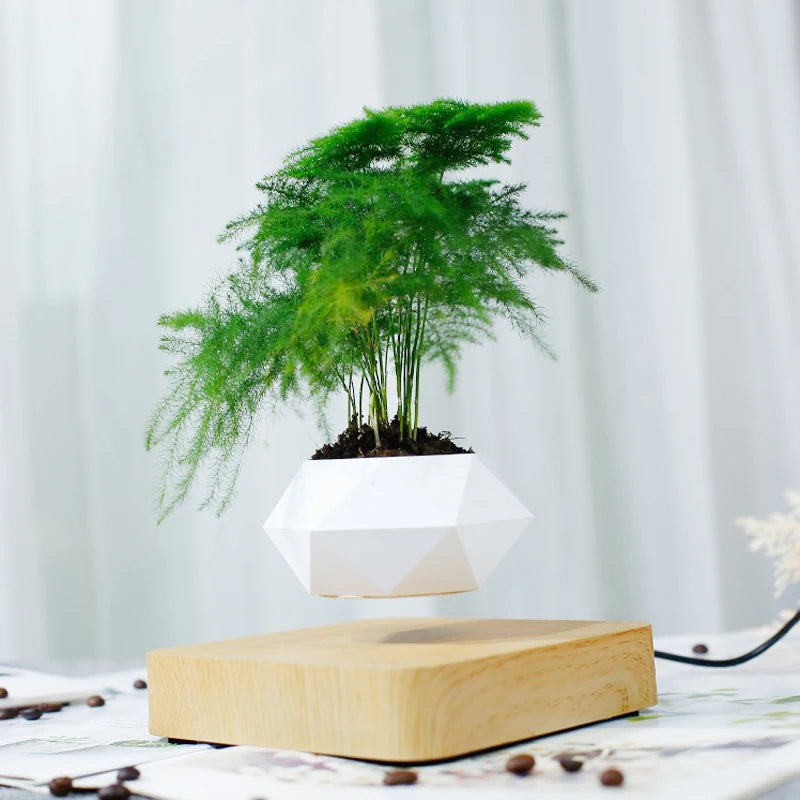 Levitating Air Bonsai Pot With Rotation