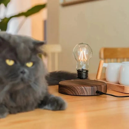 Magnetic Levitation Lamp With Creativity