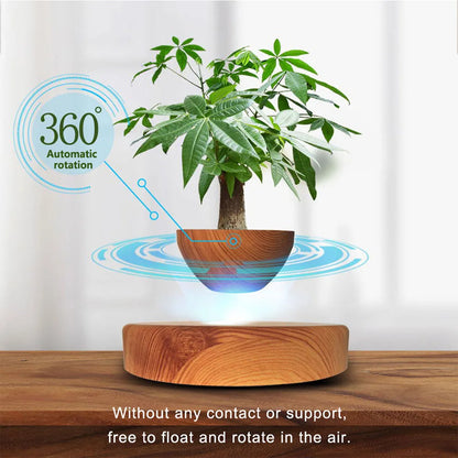 Levitating Air Bonsai Pot With Rotation