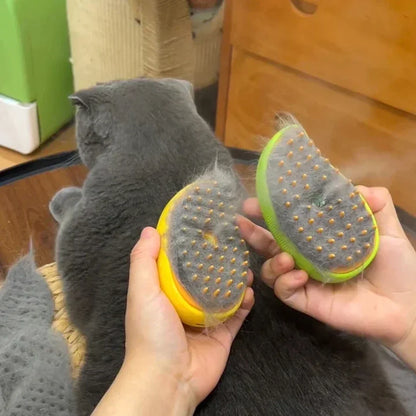 Cat Steam Brush Electric With Spray Water